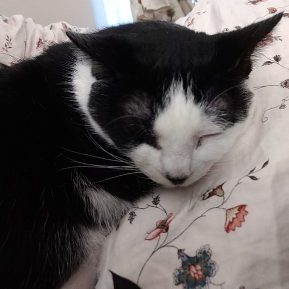 Little Bit Helper! - Picture 2 of 2